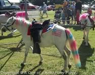 Pony Carousel Party : Dallas Texas