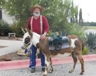 Riding Donkey | Riding Mule : Dallas Texas