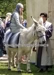 Riding Donkey | Riding Mule : Dallas Texas