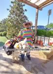 Riding Donkey | Riding Mule : Dallas Texas