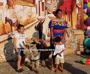 Riding Donkey | Riding Mule : Dallas Texas