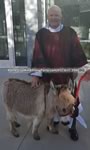 Riding Donkey | Riding Mule : Dallas Texas