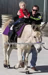 Riding Donkey | Riding Mule : Dallas Texas