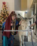 Riding Donkey | Riding Mule : Dallas Texas