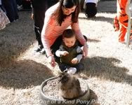Easter Petting Zoo Dallas Texas