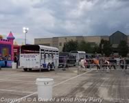 Festivals | Pony Rides in Dallas