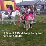 Dallas Texas Pony Party