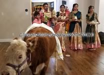 House Blessing Live Animal Rental : Dallas