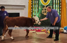 House Blessing Live Animal Rental : Dallas