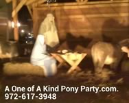 Nativity Scene Live Animal Rental : Dallas
