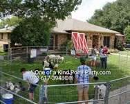 Dallas Texas Petting Zoo
