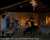 Nativity Animal Outdoor Rental in Dallas Texas