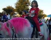 Pony Carousel Party in Dallas Texas