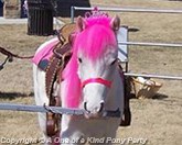 Princess Pony Party in Dallas Texas