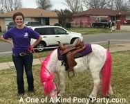 Theme Pony Party : Dallas Texas