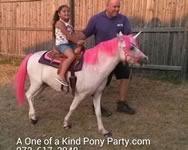 Theme Pony Party : Dallas Texas