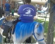 Theme Pony Party : Dallas Texas