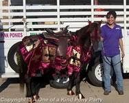 Theme Pony Party : Dallas Texas