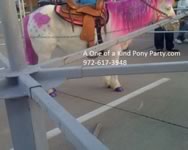 Theme Pony Party : Dallas Texas