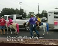 Theme Pony Party : Dallas Texas