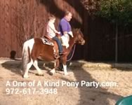 Theme Pony Party : Dallas Texas