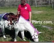 Theme Pony Party : Dallas Texas